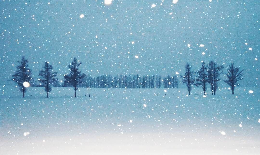 美瑛 Biei, Hokkaido