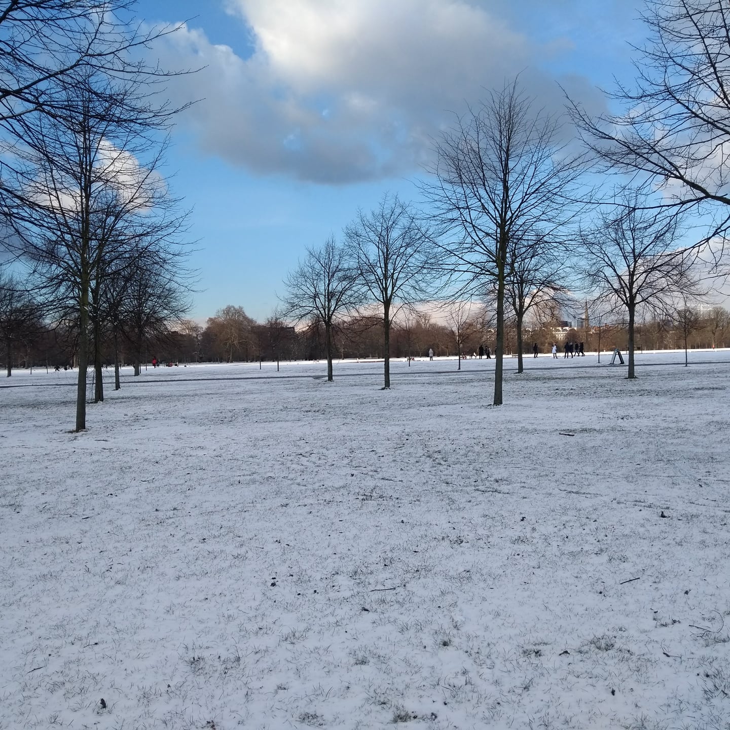 Hyde Park Snow