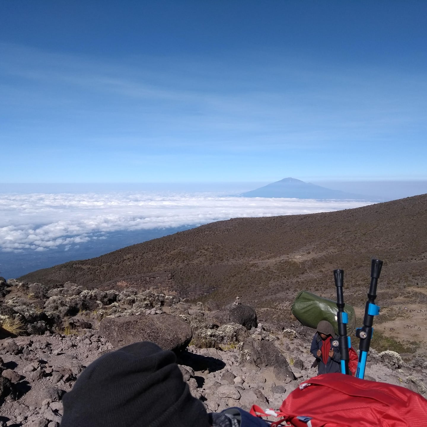 Kilimanjaro