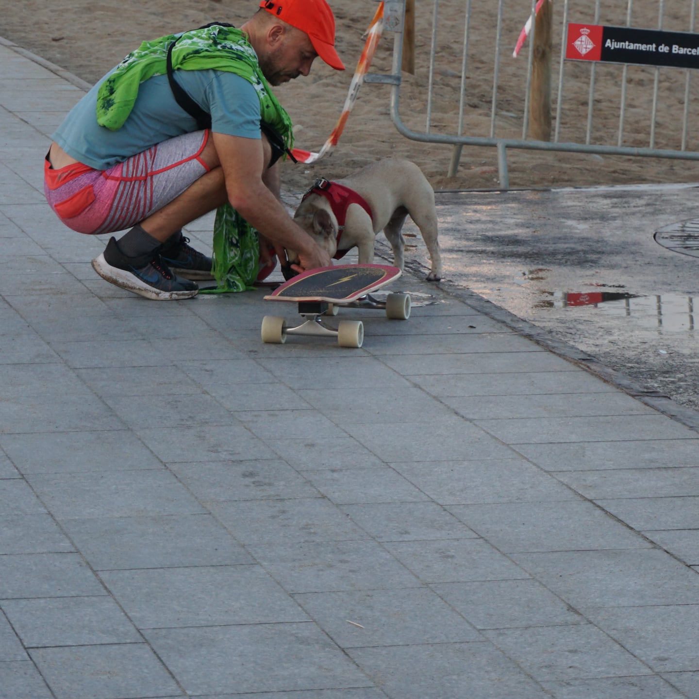Barcelona Dog